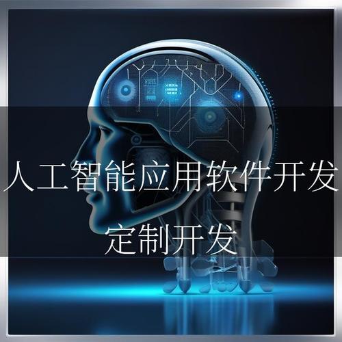 AI 时代的璀璨明珠 人工智能应用软件开发